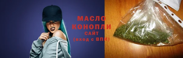 дживик Бронницы