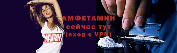 дживик Бронницы