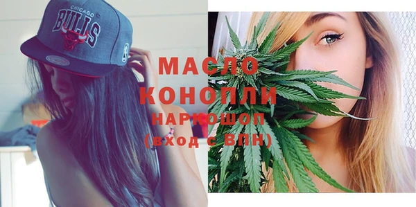 дживик Бронницы