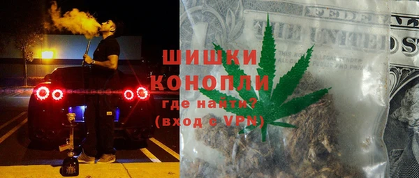 дживик Бронницы