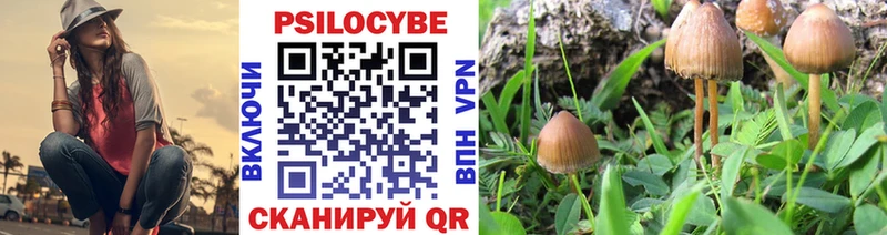Псилоцибиновые грибы Cubensis Кострома